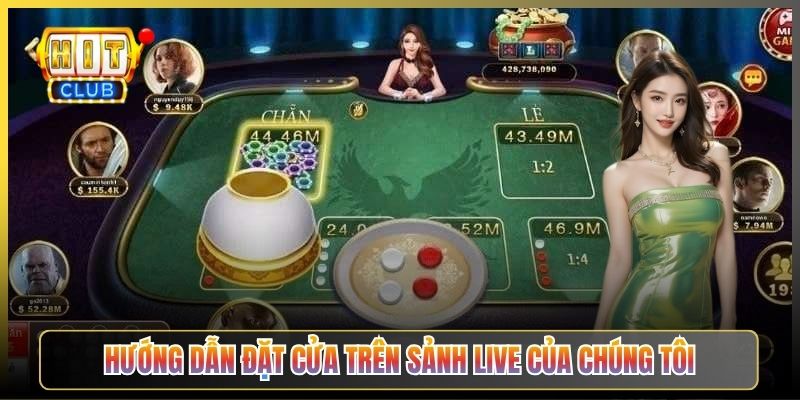 Hướng Dẫn Đặt Cửa Trên Sảnh Live Của Chúng Tôi