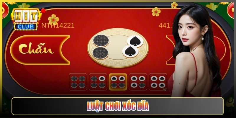 Luật Chơi Xóc Đĩa Từ A Tới Z Cho Tân Thủ Hitclub