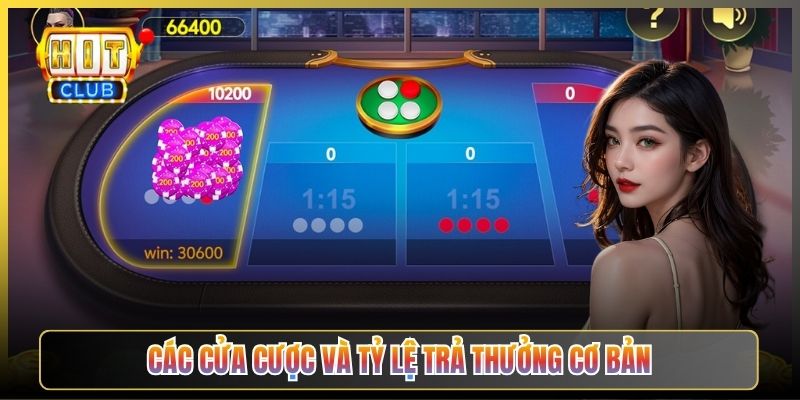 Các Cửa Cược Và Tỷ Lệ Trả Thưởng Cơ Bản