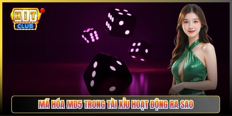 Mã Hóa MD5 Trong Tài Xỉu Hoạt Động Ra Sao