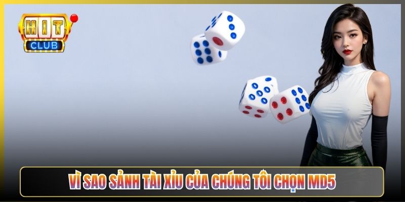 Vì Sao Sảnh Tài Xỉu Của Chúng Tôi Chọn MD5