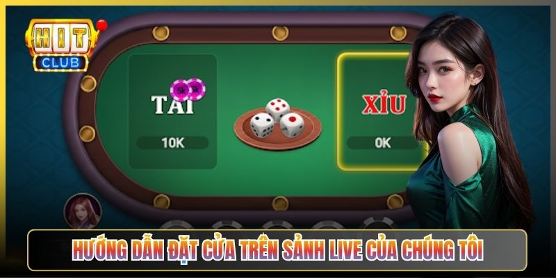 Hướng Dẫn Đặt Cửa Trên Sảnh Live Của Chúng Tôi