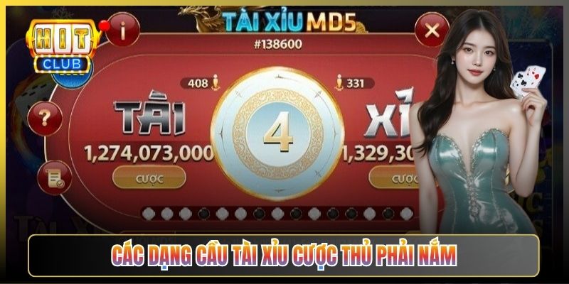 Các Dạng Cầu Tài Xỉu Cược Thủ Phải Nắm